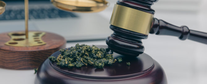 How Much Weed is a Felony in Florida?